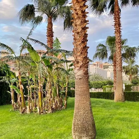 Apartamento En Benidorm La Cala * Alicante